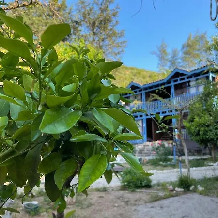 Olympos Route 66 מלון *